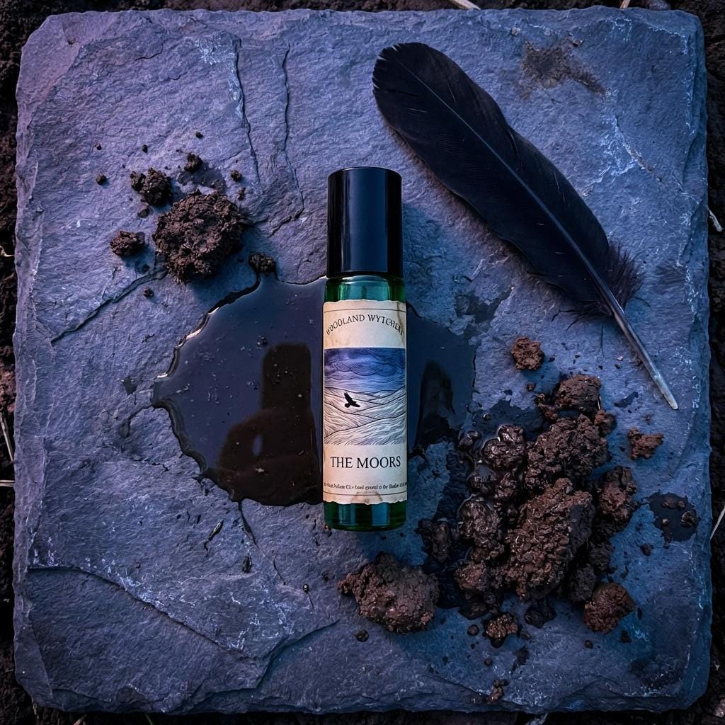 The Moors Perfume | Rainwater and Mud | Wuthering Heights | Gothic Book Scent | Dark Academia Perfume | Witchy Petrichor Oil